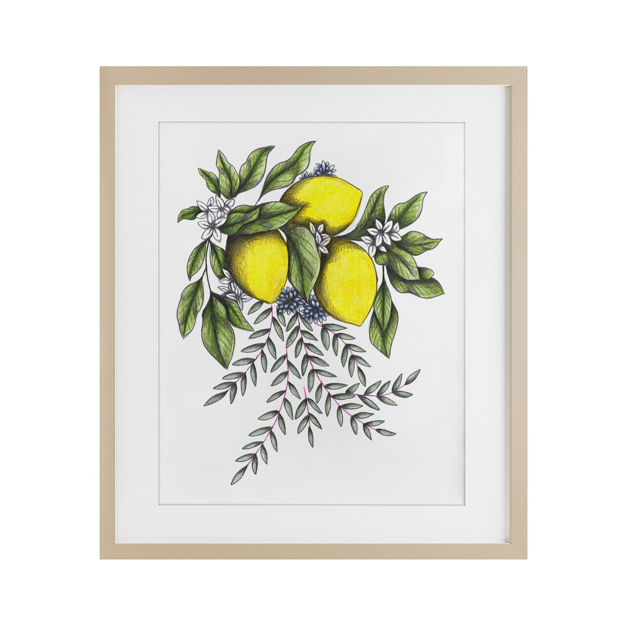 Stupell Industries Lemons & Flowers Vintage Sketch Framed Print Under Glass, design by Cecilia Battaini